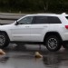 Jeep Experience