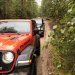 Jeep Experience