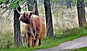 16.05.2020 - Noord Brabant NL 