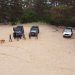 Jeep Experience