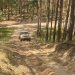 Jeep Experience