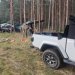 Jeep Experience