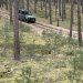 Jeep Experience