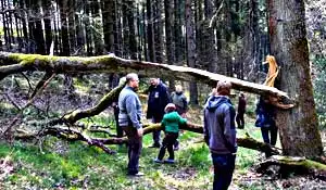 23.04.2022 - Hürtgenwald