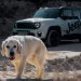 Jeep Experience