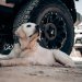 Jeep Experience