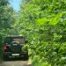 Jeep Experience