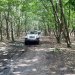 Jeep Experience