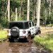 Jeep Experience