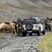 Jeep Experience
