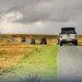 Jeep Experience