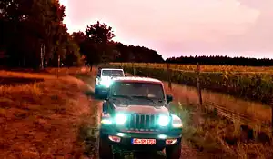 27.08.2022 - Jeep Night Heide
