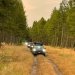 Jeep Experience