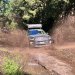 Jeep Experience