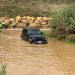 Jeep Experience