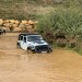 Jeep Experience