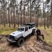 Jeep Experience