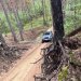 Jeep Experience