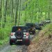 Jeep Experience
