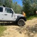 Jeep Experience