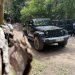 Jeep Experience
