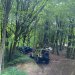 Jeep Experience
