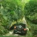 Jeep Experience
