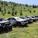 Jeep Experience