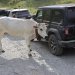 Jeep Experience