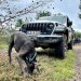 Jeep Experience