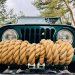 Jeep Experience