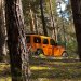 Jeep Experience