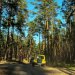 Jeep Experience