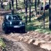 Jeep Experience