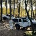 Jeep Experience
