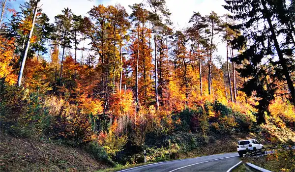 12.11.2023 - Indian Summer Westerwald