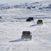 Jeep Experience