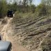Jeep Experience