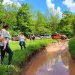 Jeep Experience