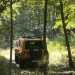 Jeep Experience