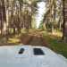 Jeep Experience