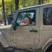 Jeep Experience
