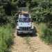 Jeep Experience