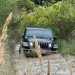 Jeep Experience