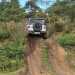 Jeep Experience