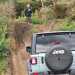 Jeep Experience