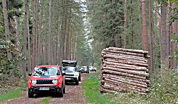 14.09.2025 - Lüneburger Heide