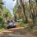 Jeep Experience