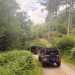 Jeep Experience