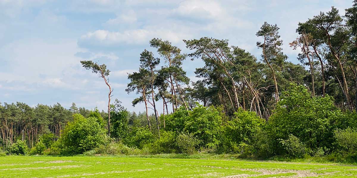 Limburg NL